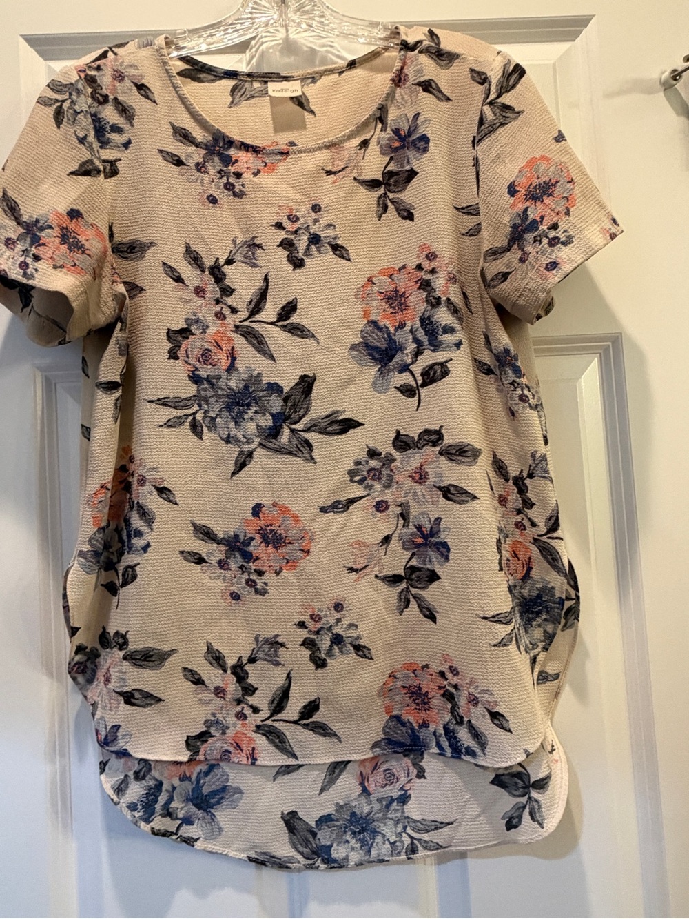 Kaileigh Cream Floral Short-Sleeve Blouse with Blue and Pink Accents